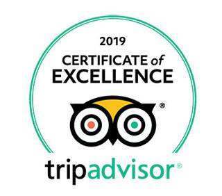 Trip Advisor Coe